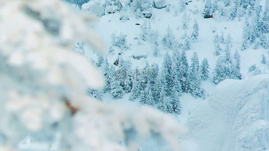 滑雪胜地的雪山峰和树木视频树枝顶端覆盖着冬日的白雪图片