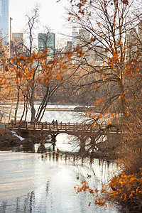 美国纽约市中央公园BankRock湾橡树桥的图片