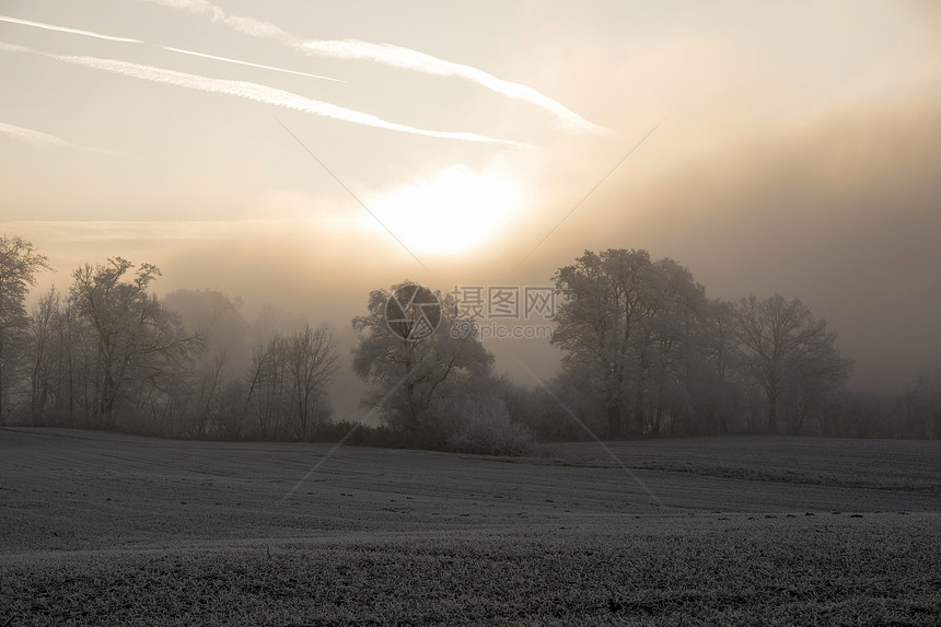 瑞士中部Lucernne附近日出时雾图片