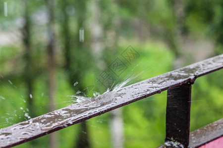 夏日温暖的雨图片