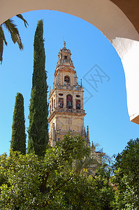 Minaret塔TorredelAlminar的巴洛克贝壳图片