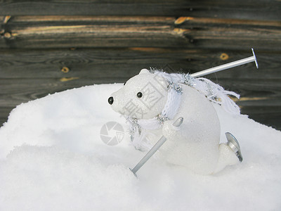 白熊圣诞冬季贺卡背景有雪图片