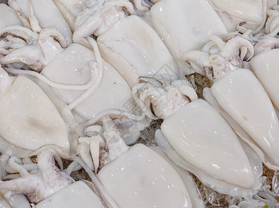 海鲜市场上成排的新鲜生鱿鱼图片