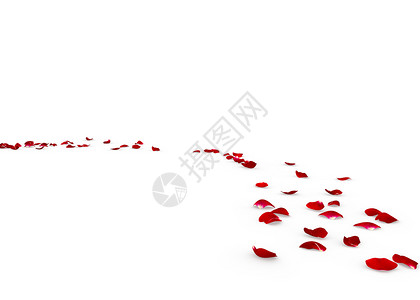 玫瑰花瓣倒在地上图片