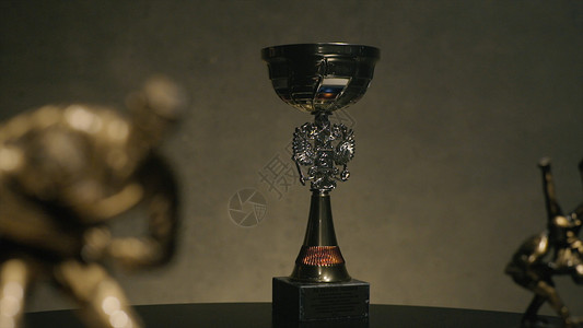 获胜和成功的第一名冠军奖杯或银杯概念在柔道锦标赛中获胜的杯图片