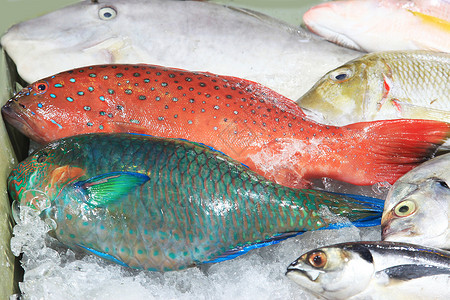 鱼在夜鱼市场出售图片