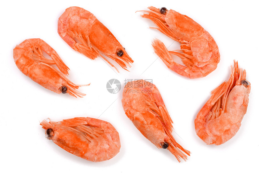 红虾或在白色背景中被隔离在顶层风景下图片