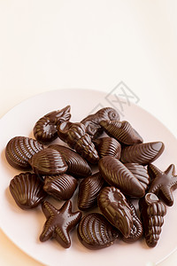 巧克力糖果传统的比利时外壳形状图片