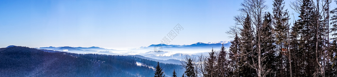 晨雾喀尔巴阡山脉的冬季雪景图片
