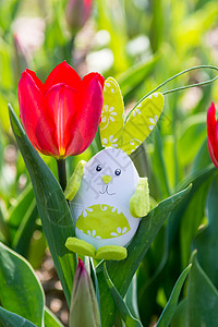 小兔子玩具藏在红色郁金香中复图片