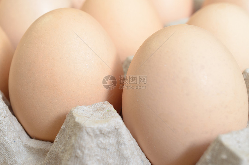 鸡蛋纸板托盘中的棕色鸡蛋图片