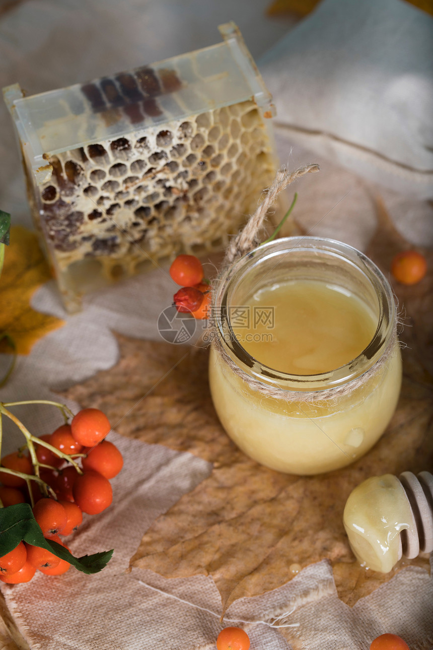 麻布上的花楸浆果蜂蜜和蜂窝特写图片