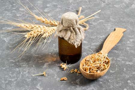 用于目的勺子和小麦胚芽油瓶中的新鲜发芽小麦种子图片