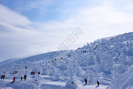 日本山形藏王山的雪怪藏王是东北地区最大的滑雪场之一在冬天图片