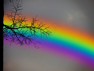 深夜天空背景的彩虹背后圆图片
