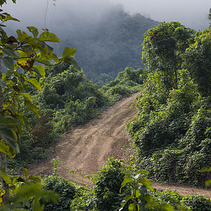 老挝LuangPrabang的图片