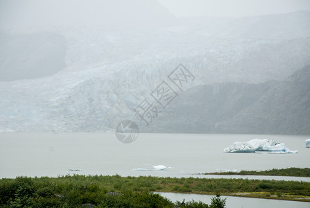 美国阿拉斯加汤加森林门登霍尔冰川娱乐区图片