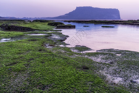 西归浦在韩国南部济州岛的光地上清山日出背景