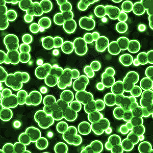 细胞是每个生物体的小型结构图片