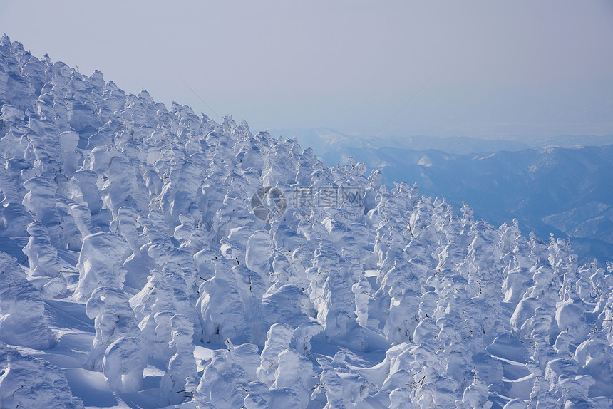 日本山形藏王山的雪怪藏王是东北最大的滑雪胜地之一在冬天图片