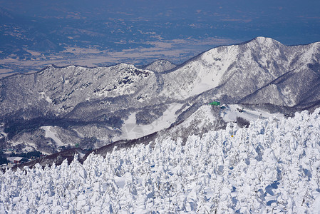 藏王墓日本山形藏王山的雪怪藏王是东北最大的滑雪胜地之一在冬天背景