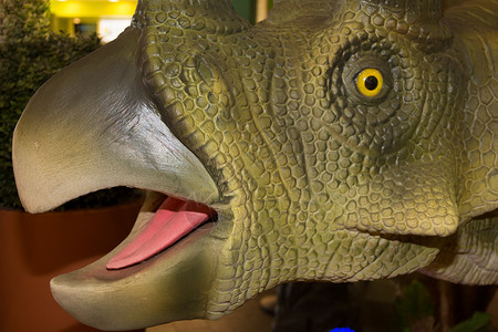 恐龙脸特写黄色的眼睛图片