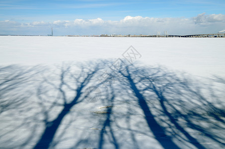 阳光明媚树影在雪地里显露出来图片