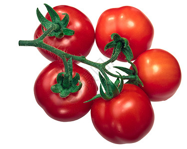全球中等规模番茄组CiliegiaselRegina图片