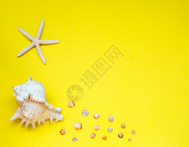 在黄色背景上排列的贝壳和海星的选择顶视图夏季概念复图片