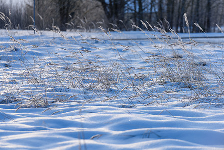 下雪时的阴影寒冬在寒冷的农图片