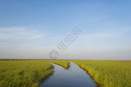 泰国拉姆萨尔公约湿地公约图片