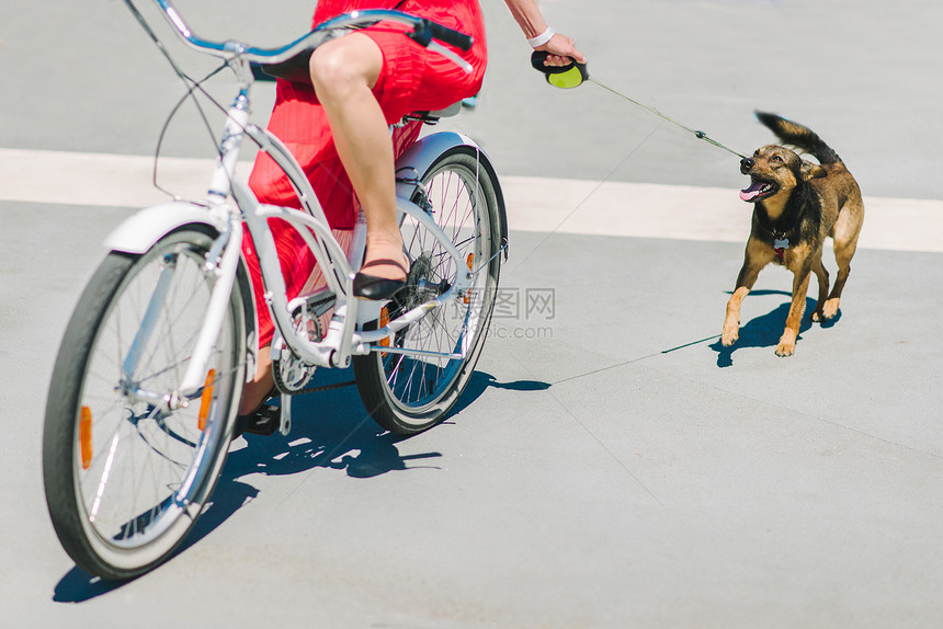 一个女孩骑着自行车走狗图片
