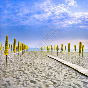 意大利海滩上黄色的阳伞图片