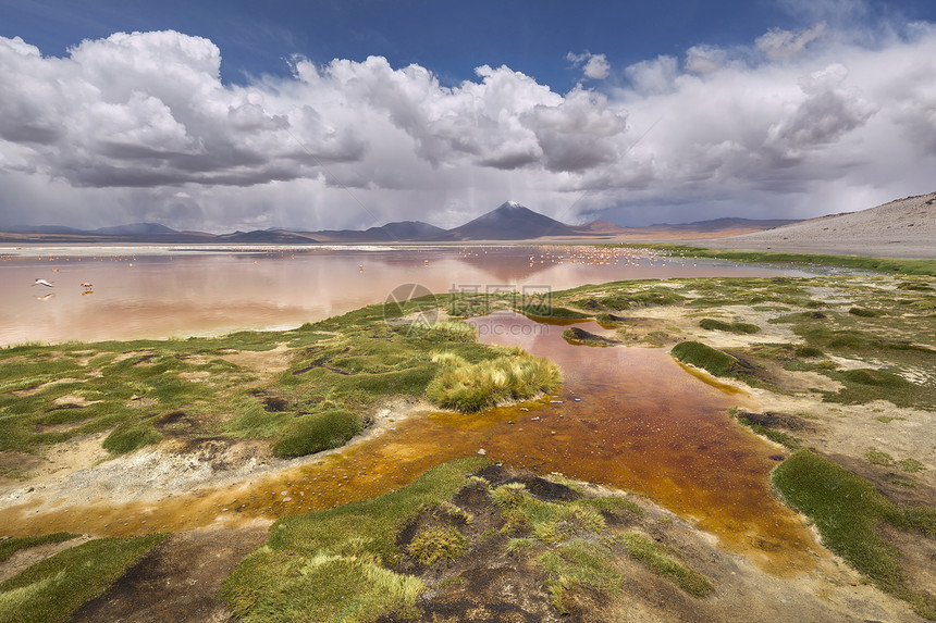 玻利维亚阿尔蒂平原科图片