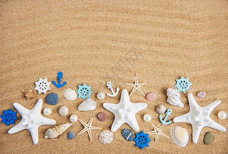 以沙子为自然假日背景的贝壳图片