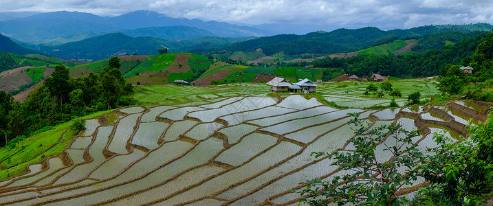 BanPapongpieng梯田图片