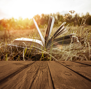 在日落天空和春天森林背景上的干草上的秋天田野上的日落时打开的书背景图片