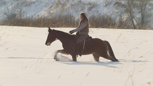 马术骑马的女子在雪地图片