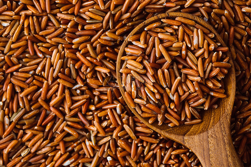 黑红水稻种子营养和医疗福利高的超食品等图片