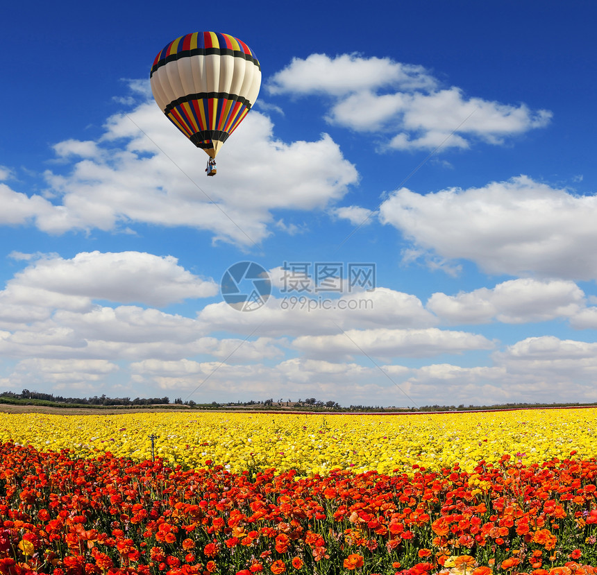 多色气球缓慢地飞过开阔的花园果酱田地极端和农村旅游的概念浅云预示图片