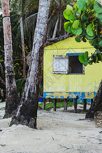 CornCorn岛nicaraguaoctober土著穷人图片