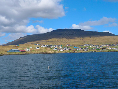 Kollafjordur海岸村Fol图片