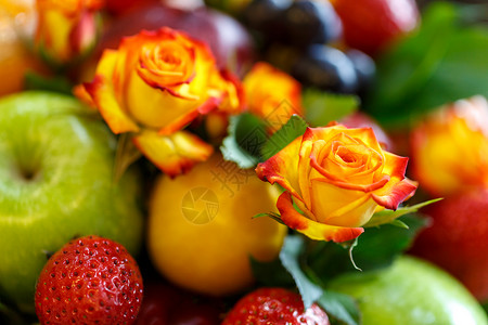 橙红玫瑰的芽在明亮果子花图片