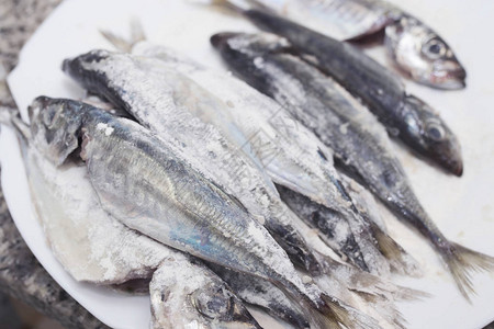 沙丁鱼鲭鱼炸锅鱼图片