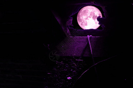 夜空的超级粉红月亮图片