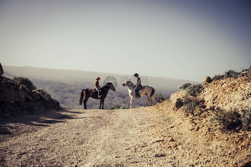 夫妇的马和骑手男人和女人在大自然农村相爱现代牛仔和女牛仔在山区休闲活动中的自由和另类图片
