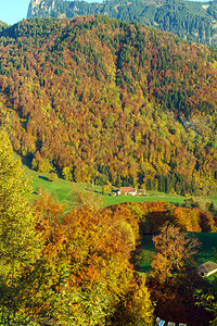 瑞士格鲁耶尔斯阿尔卑斯山的风景观秋天高清图片
