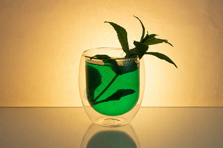 双层玻璃杯中的绿色薄荷茶和玻璃杯中的薄荷枝背光玻图片
