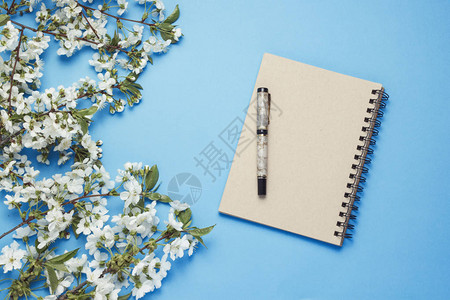 笔记本笔和樱桃枝蓝图片