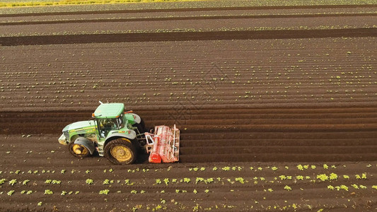 鸟瞰图拖拉机山土豆与圆盘山拖拉机的农民用苗床中耕机在农田里准备土地拖拉机犁地农背景图片